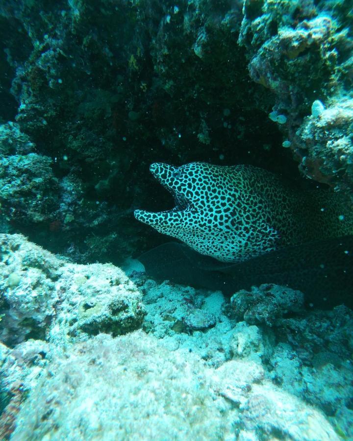 One The Island Hotel Naifaru Bagian luar foto