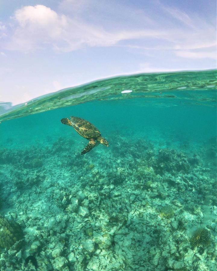 One The Island Hotel Naifaru Bagian luar foto