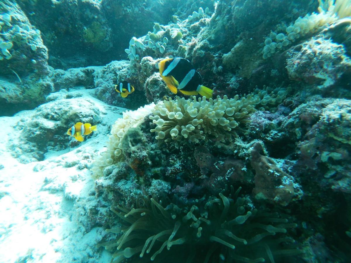 One The Island Hotel Naifaru Bagian luar foto
