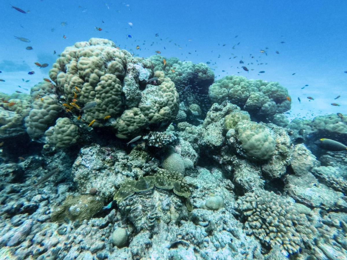 One The Island Hotel Naifaru Bagian luar foto